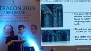 Delivered a talk on “Fetal adrenals ” at Ultracon